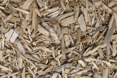 biomass boilers Muscliff